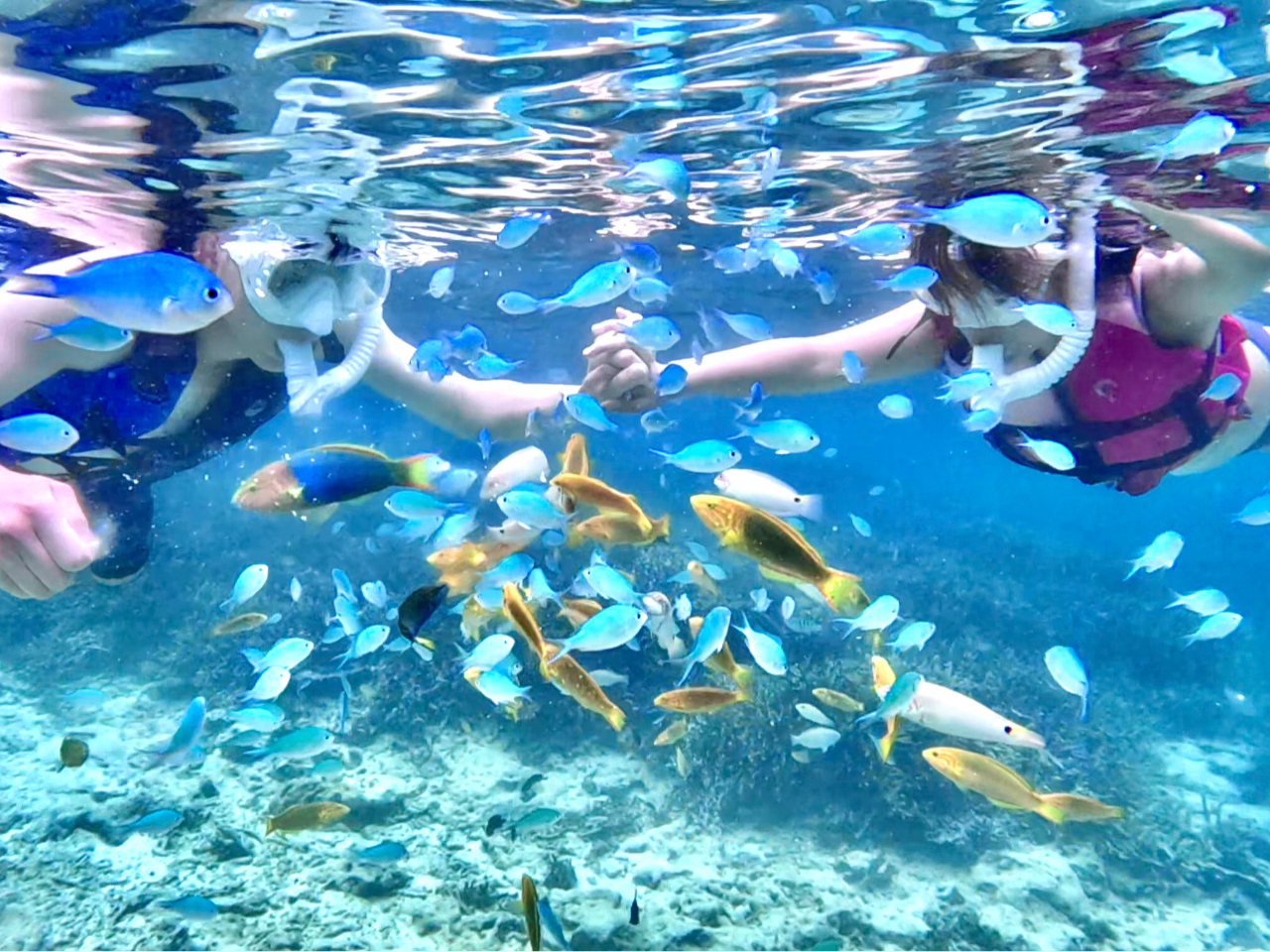 カラフルなお魚さんがお出迎え♪