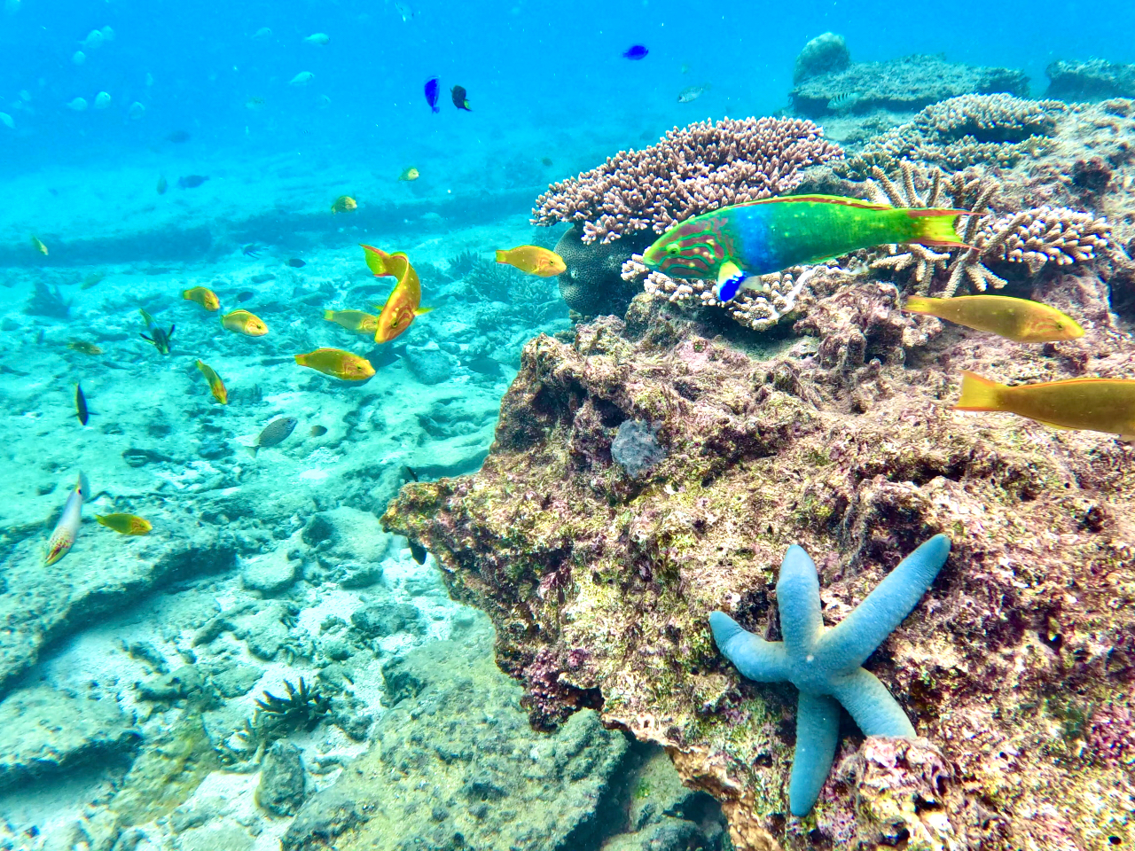 じゃらん!クチコミ100件オール5スター☆のお店だから安心!