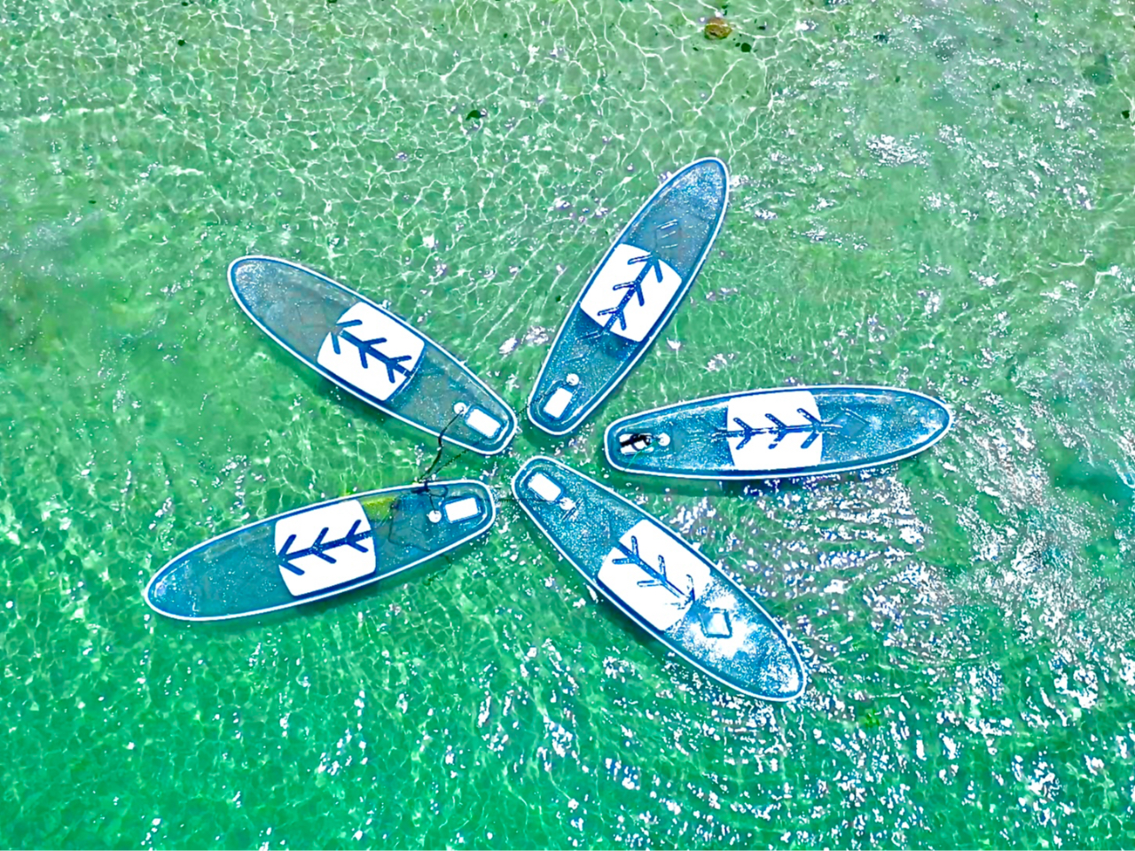 クリアサップで今帰仁の透き通る海を体感しよう!