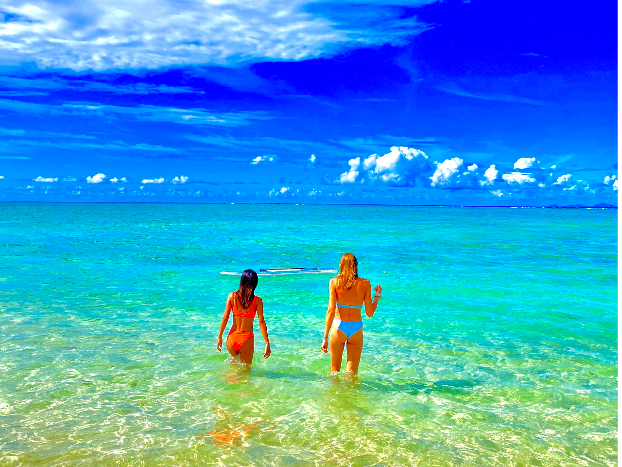 SNSfNo. 1 GhO[ɋPCƂ߁II