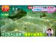 ウミガメさんも卵を産みに来るほど透き通った綺麗な海です♪