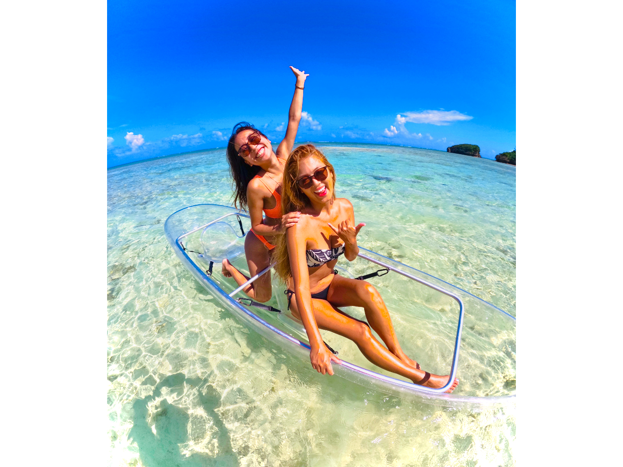 �N���A�J���b�N�ŃE�~�K������T�����I