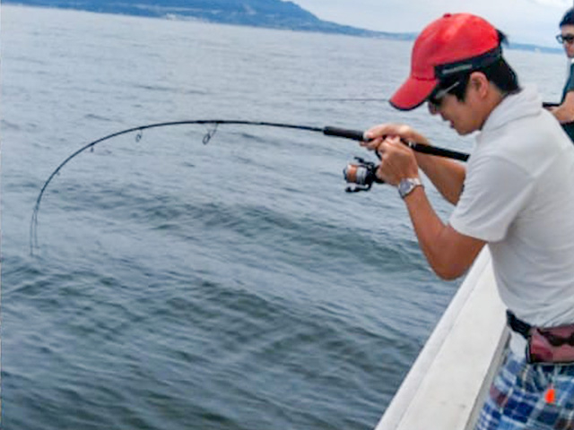 S҂xe܂ŁAEqlǂȂl劽}ł