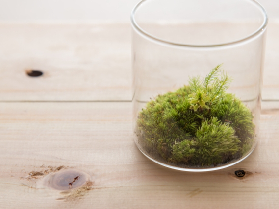 自分だけのオリジナルの世界を瓶の中に!