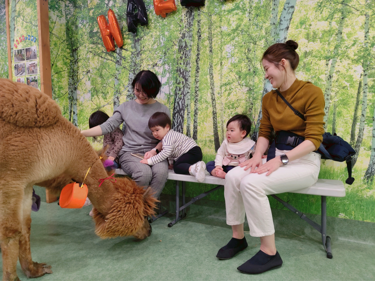 エサやり体験中〜