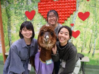 かわいいアルパカと写真も撮れます。