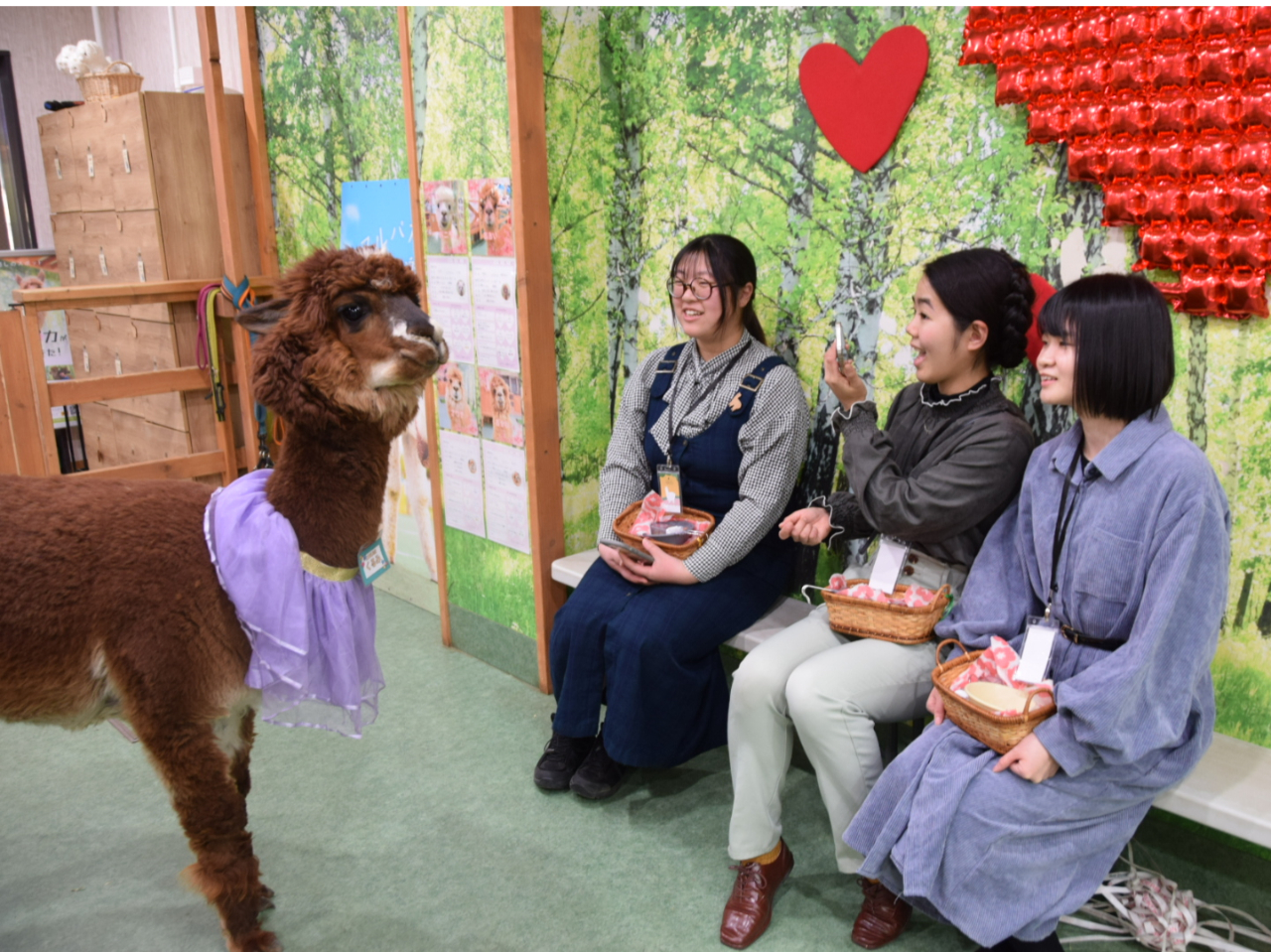 ゆったりとふれあいを楽しめます♪