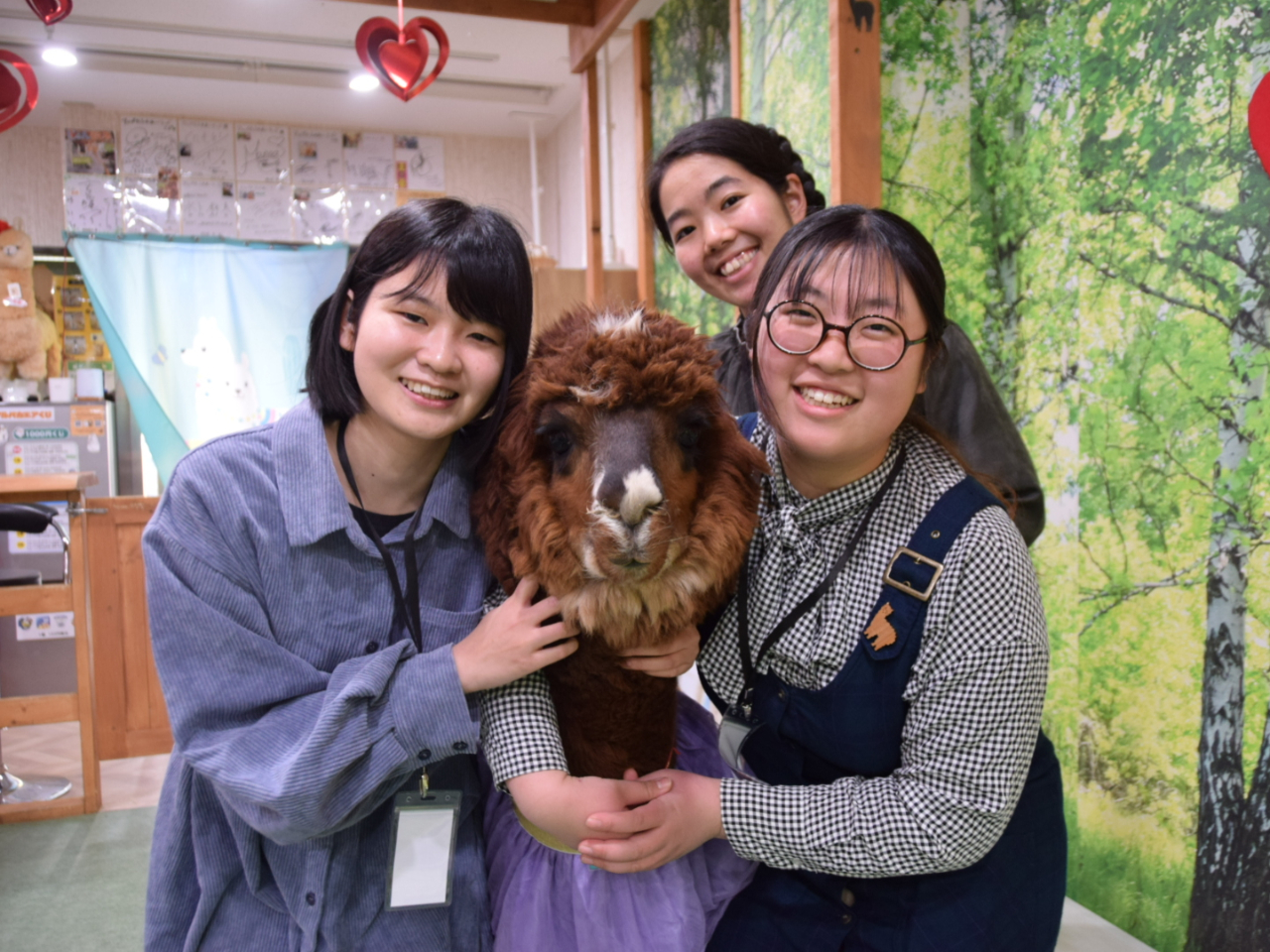 かわいいアルパカさんとハイチーズ♪