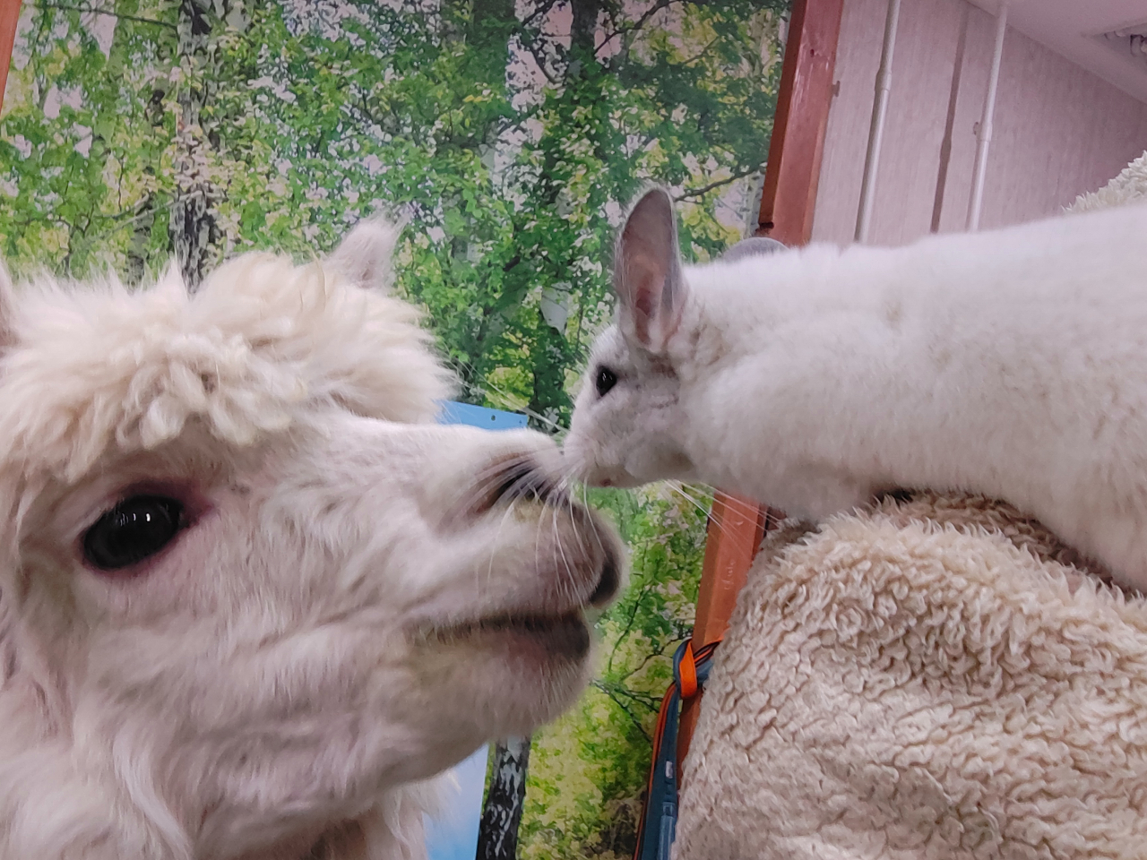 動物はみんな仲良し♪