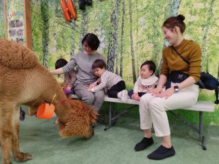 小さなお子様でも上手にふれあいが出来ます。