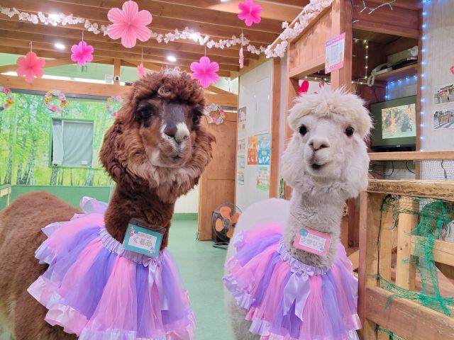 季節によって装飾が変わります☆