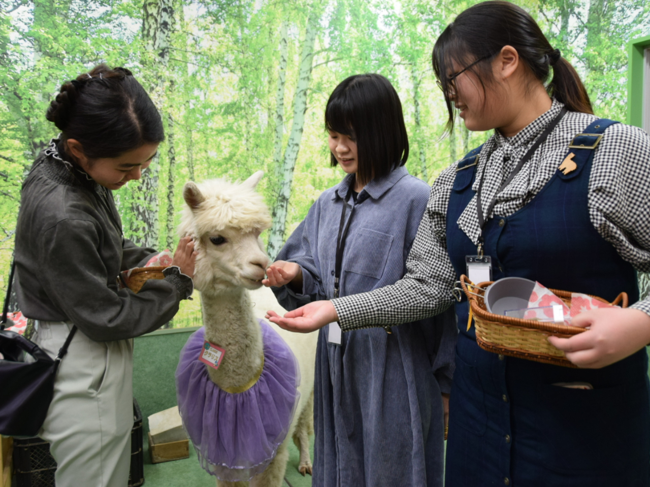 GTɐHׂĂ܂Bڎ̓Jbv܂