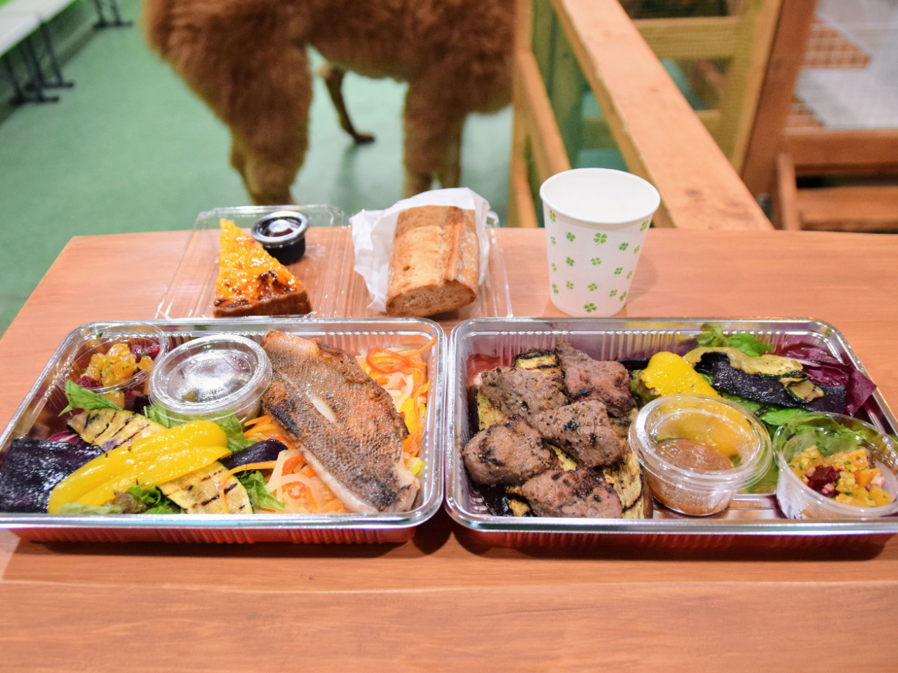 H͂orIт܂B(e͎ɂĈقȂ܂)