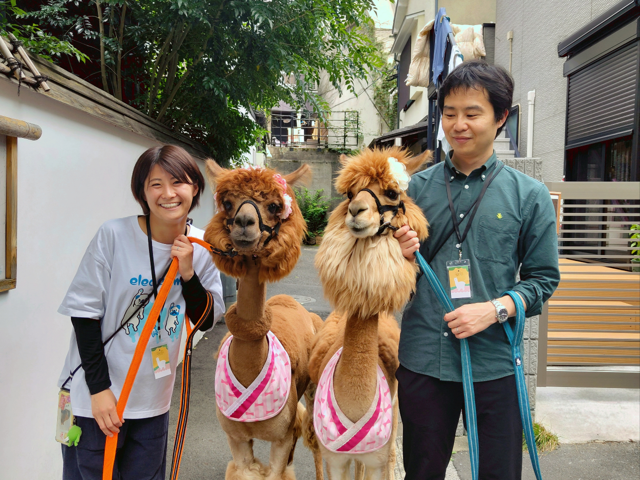 _y̏HApJƈꏏɂU܂(sB)