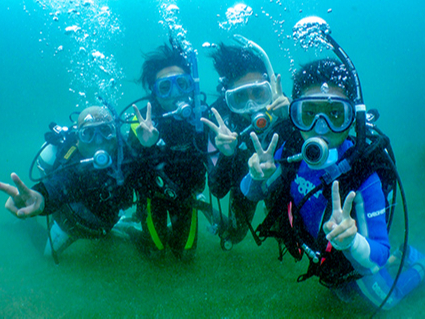 【赤沢×体験ダイビング】器材レンタル込♪東京から2時間で来れるリゾート感たっぷり...