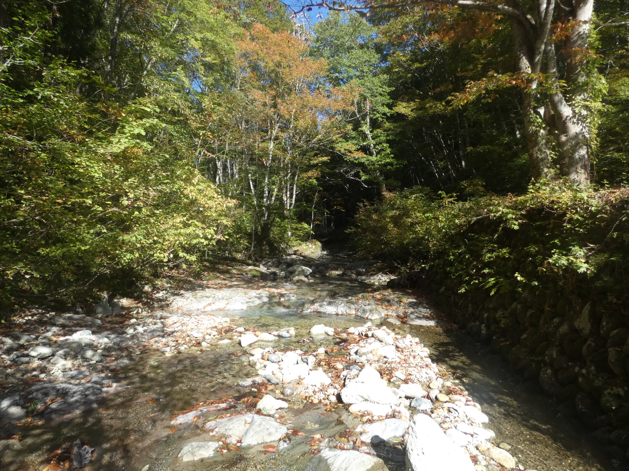 ɂĐVт\łBJ̓O̓J̏ꍇĂꍇ܂B͊댯ȈדȂ悤ɂĂB