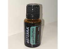 yA[XYzs߂Cŗ񂾂AsłY݂̕ɂ߂̃ICB SƐĝ̒aƁÃoX𐮂܂B