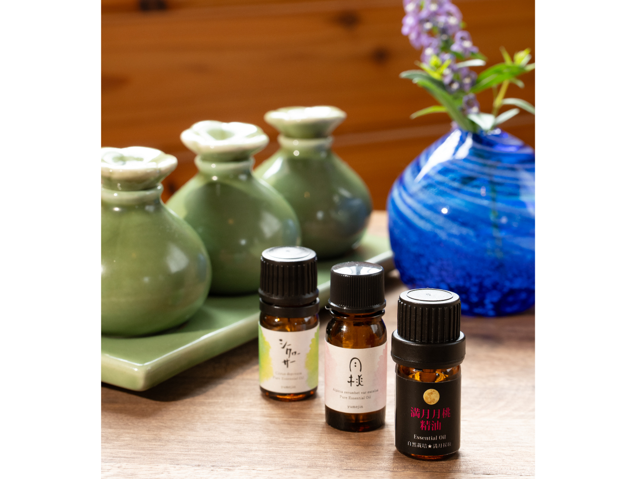 V[N[T[AꌧYA{ÓAvAACC5ނ̐炨DȍIт܂