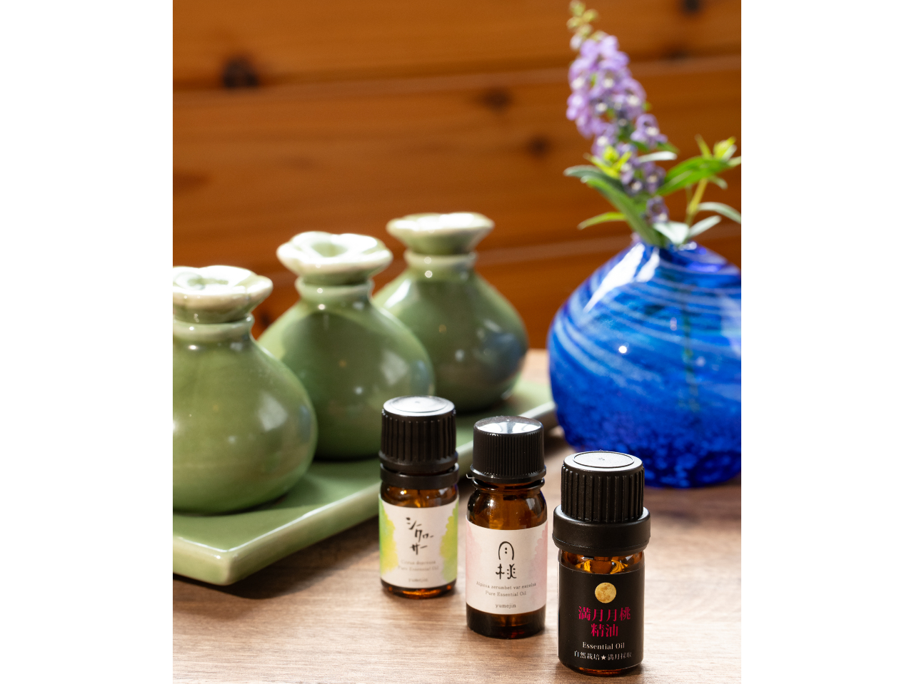 V[N[T[AꌧYA{ÓAvAACC5ނ̐炨DȍIт܂