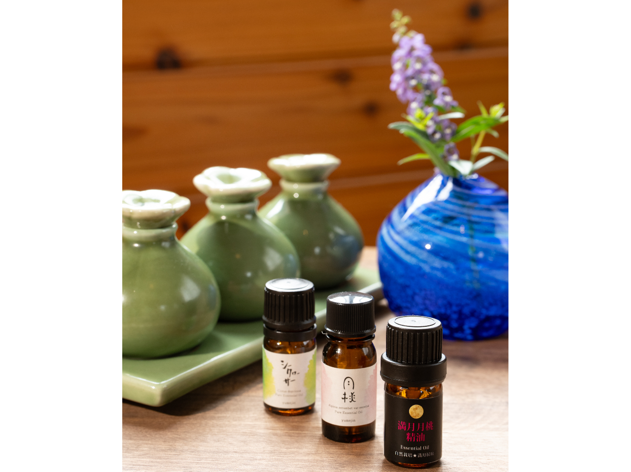 V[N[T[AꌧYA{ÓAvAACC5ނ̐炨DȍIт܂