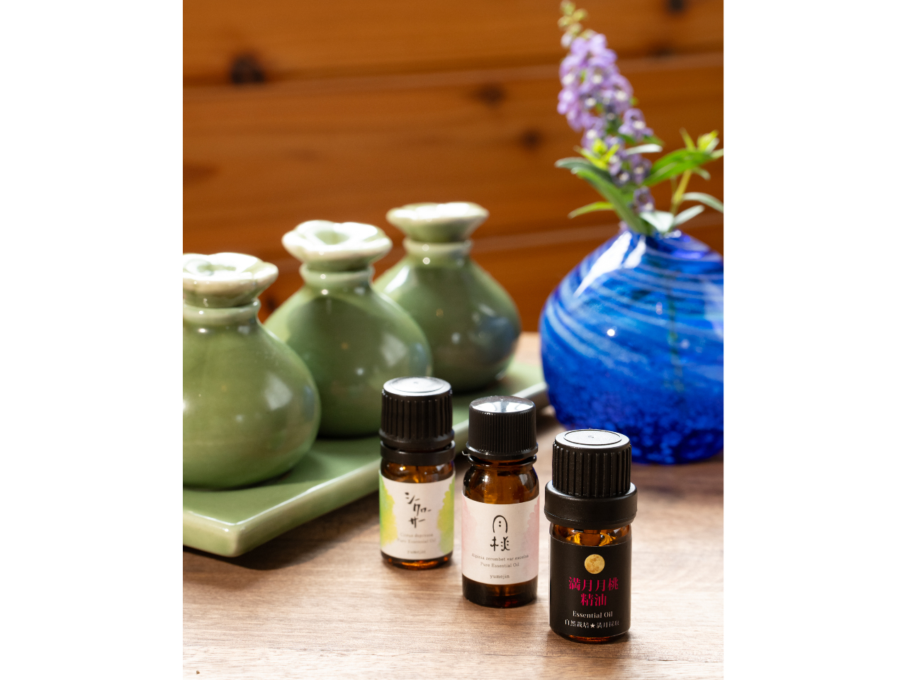 V[N[T[AꌧYA{ÓAvAACC5ނ̐炨DȍIт܂