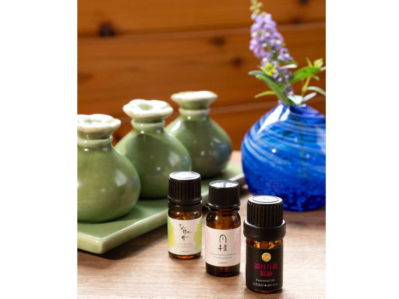 V[N[T[AꌧYA{ÓAvAACC5ނ̐炨DȍIт܂