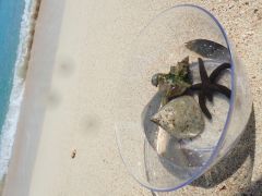 ビーチでひと休憩!のんびりするも良し、映え写真でも撮ってみては