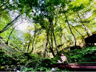 森の渓流(沢)で整ってみませんか?!