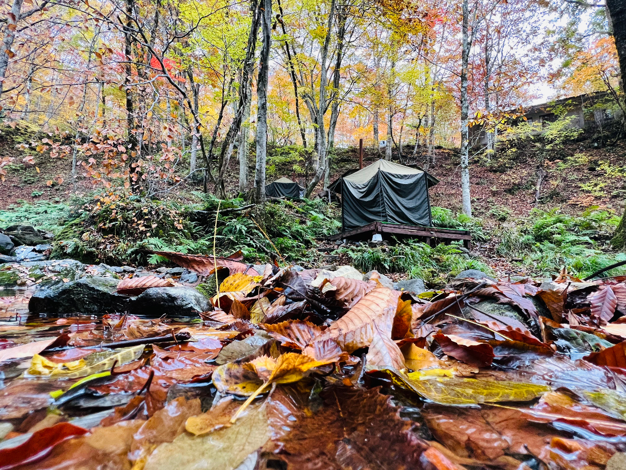 紅葉の時期も素敵ですよ