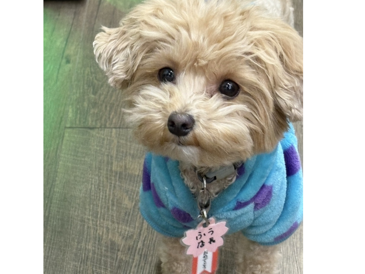 ^Ɓ@ӂX}ĂI@ӂX̏oΓInstagramŃ`FbNI