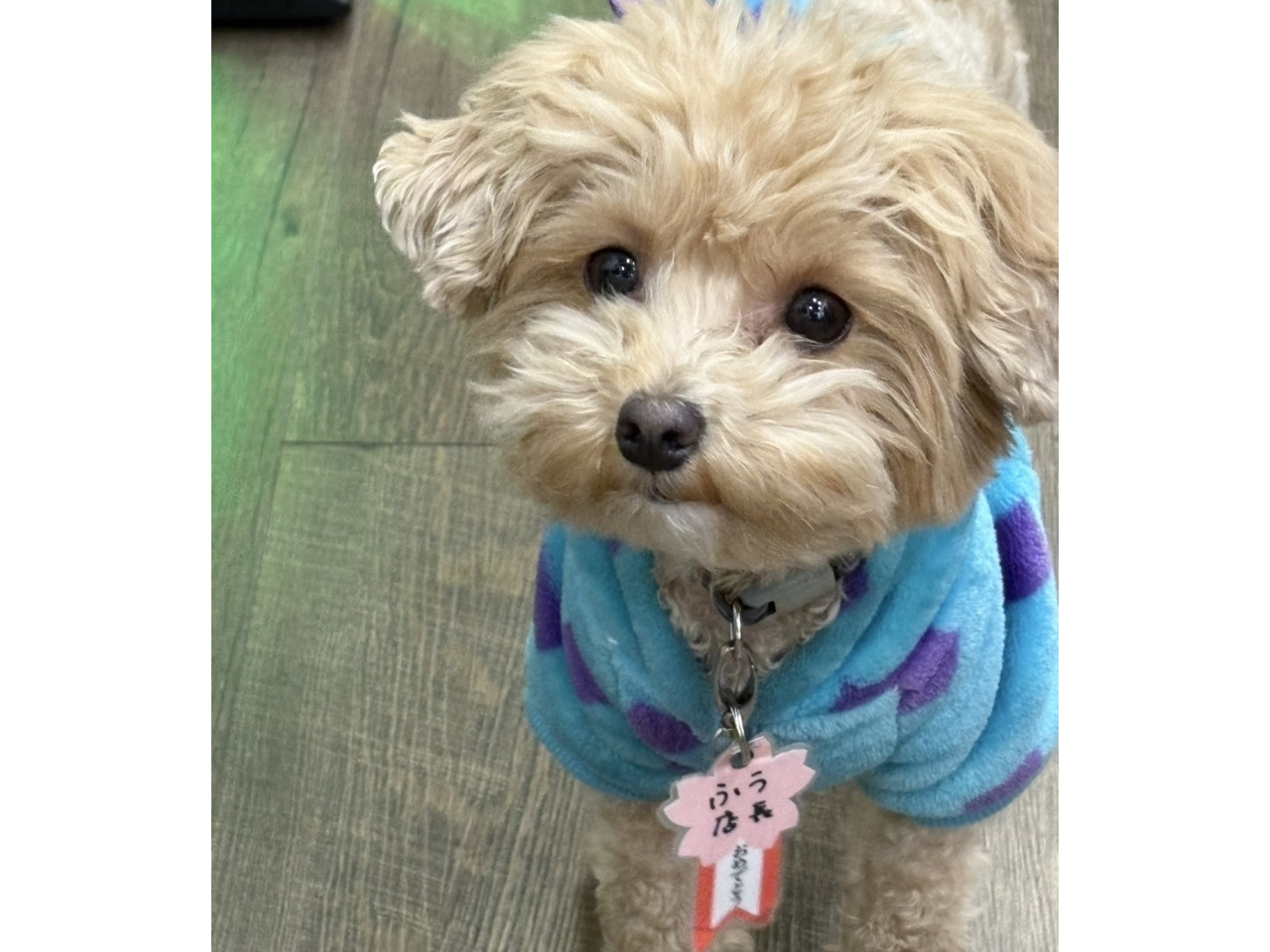 ^Ɓ@ӂX}ĂI@ӂX̏oΓInstagramŃ`FbNI