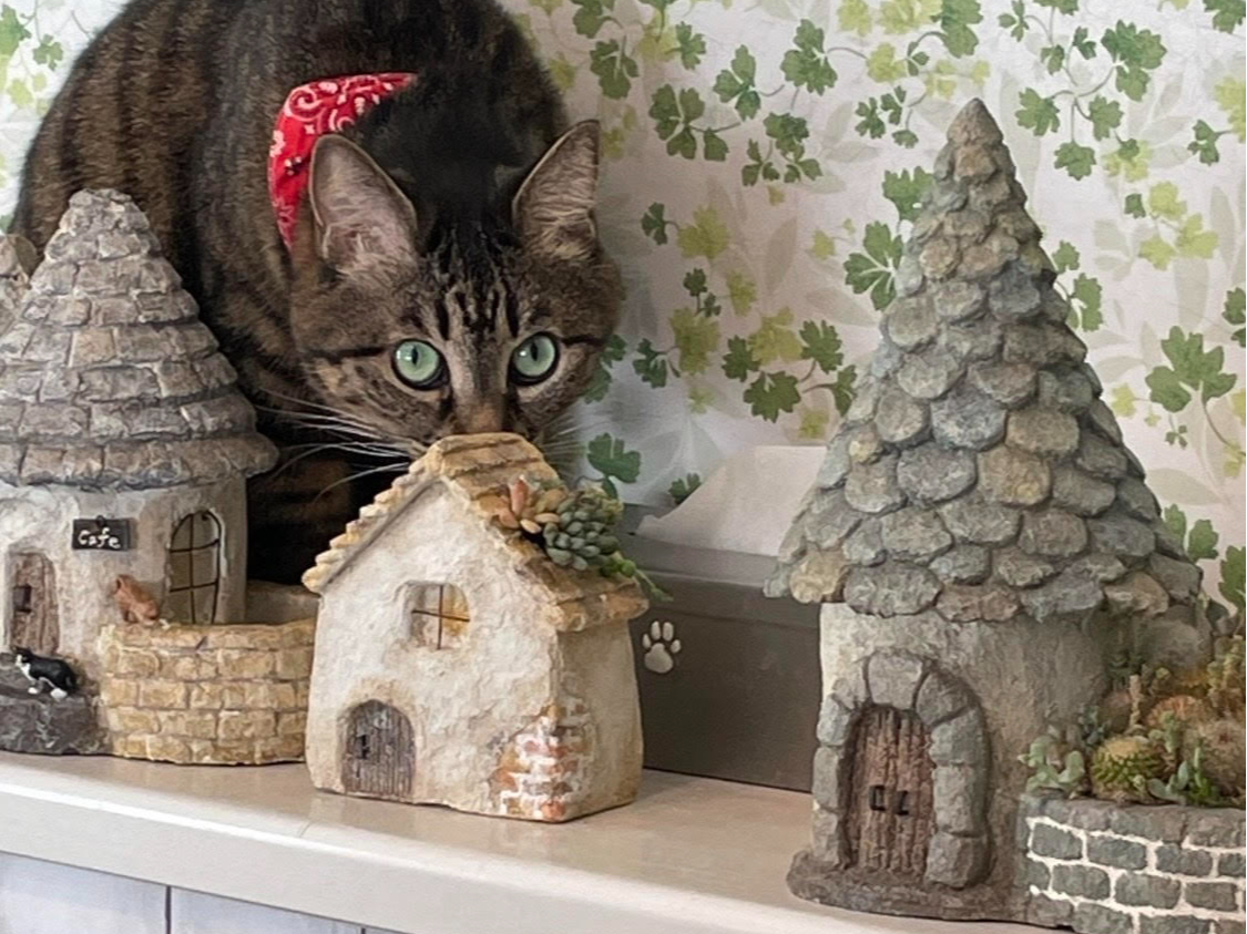 ☆ワンデーレッスン☆ モルタル鉢の手作り体験♪/モルタル造形教室