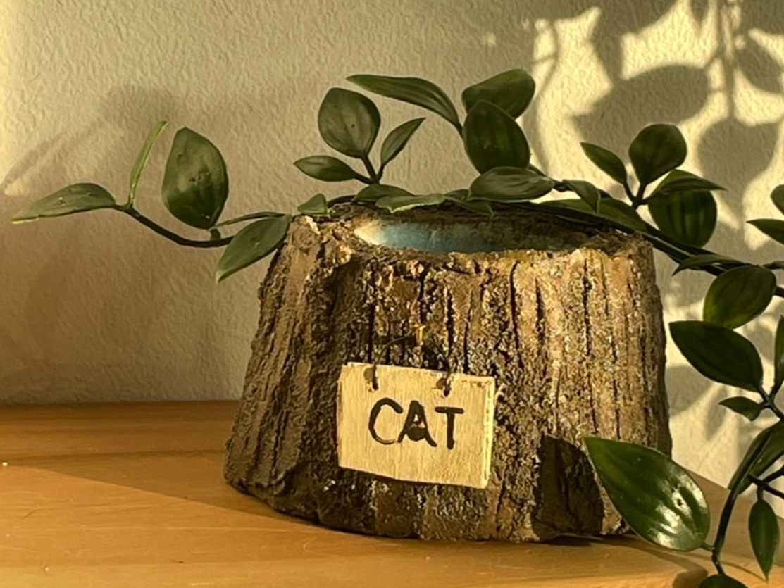 鉢 手作り ☆ワンデーレッスン☆ モルタル鉢の手作り体験♪/モルタル造形教室