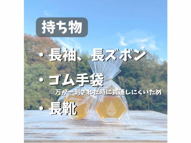 �{�I�̌��Ɏ����Ă��ė~�������́B���k������Ό���LINE�ł��C�y�ɂǂ����I