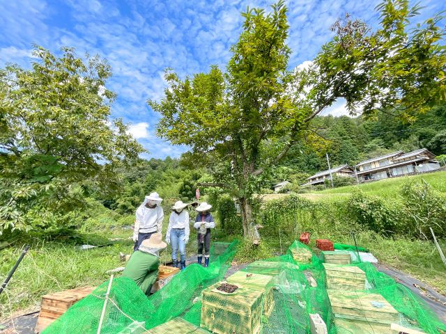 �݂΂��̐��Ԃɂ��Đ�������l�q