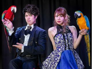 テーブルマジック&大迫力のステージマジックをお楽しみいただけます