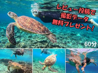 ウミガメに会えるポイントへご案内いたします。