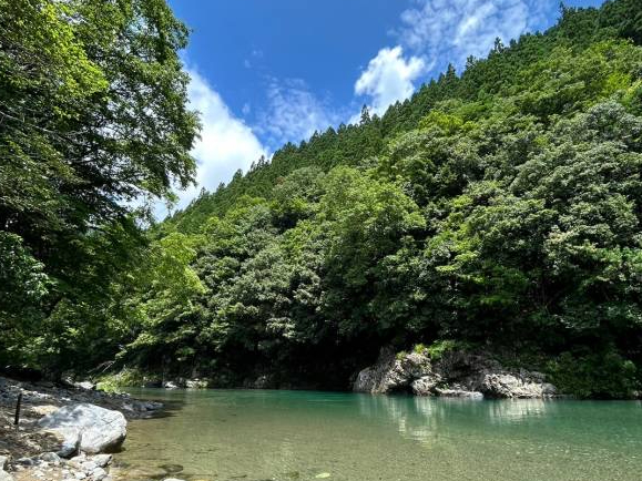 おてがる低料金ミニログハウス一泊・レンタサイクル無料プラン