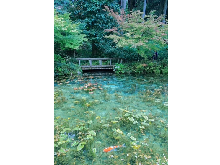 ���l�̒r�܂Ń����^�T�C�N����8��