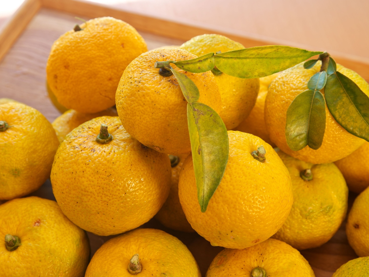 ゆずのだいどこでは直営のゆず園で収穫されたゆずをたっぷり使ったお料理が楽しめます。