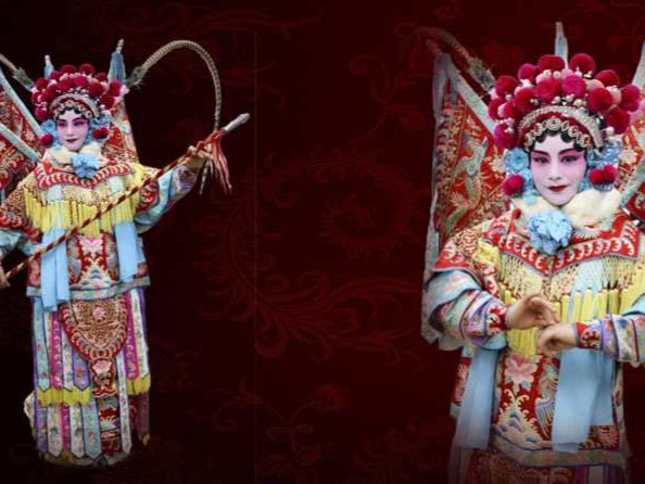�A���o���p�ʐ^��