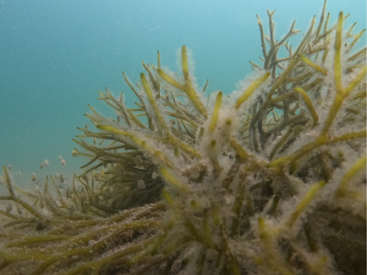 �u�K��́A�C�̒��̋��X�|�b�g�T���I�I