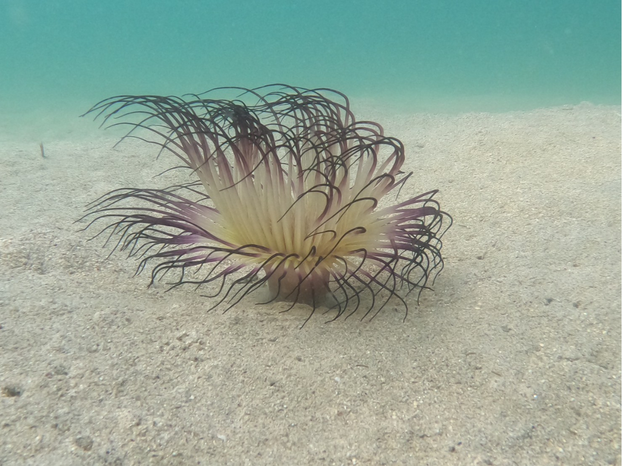 �u�K��́A�C�̒��̋��X�|�b�g�T���I�I