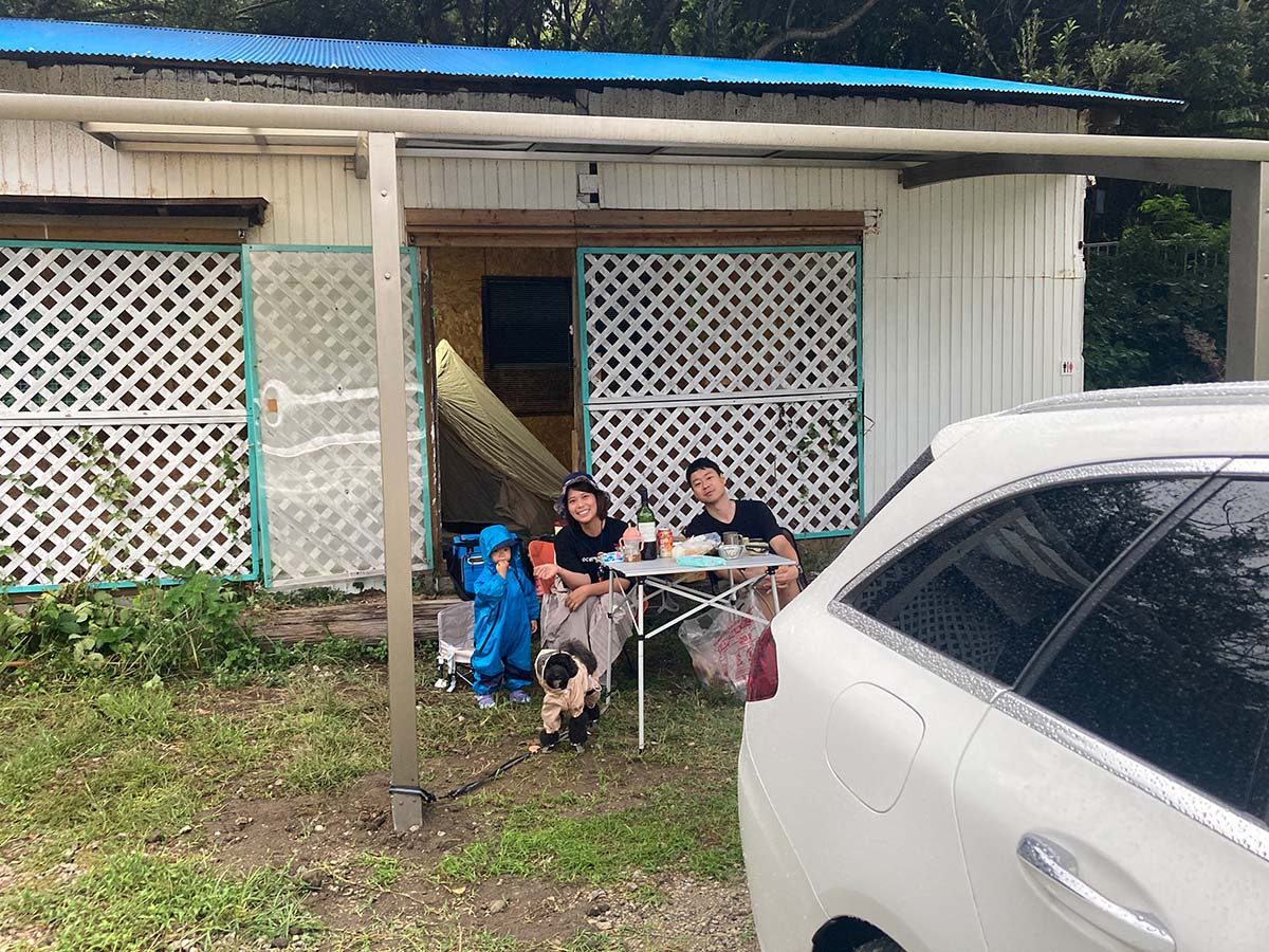 nEXOɃJ[|[gݒuĂĉJ̓SI