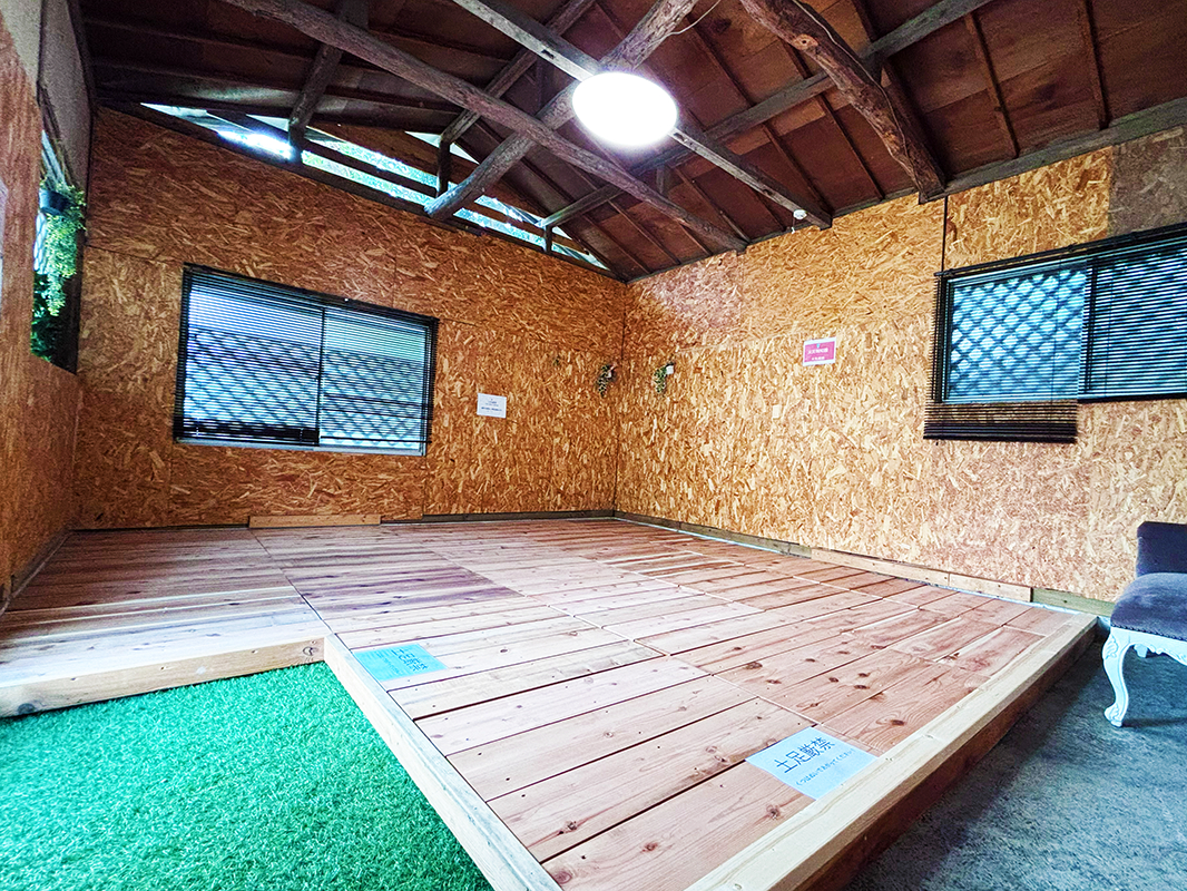 nEX4.5x5.5i΋C/yցjؐXy[XAƖAdRZg