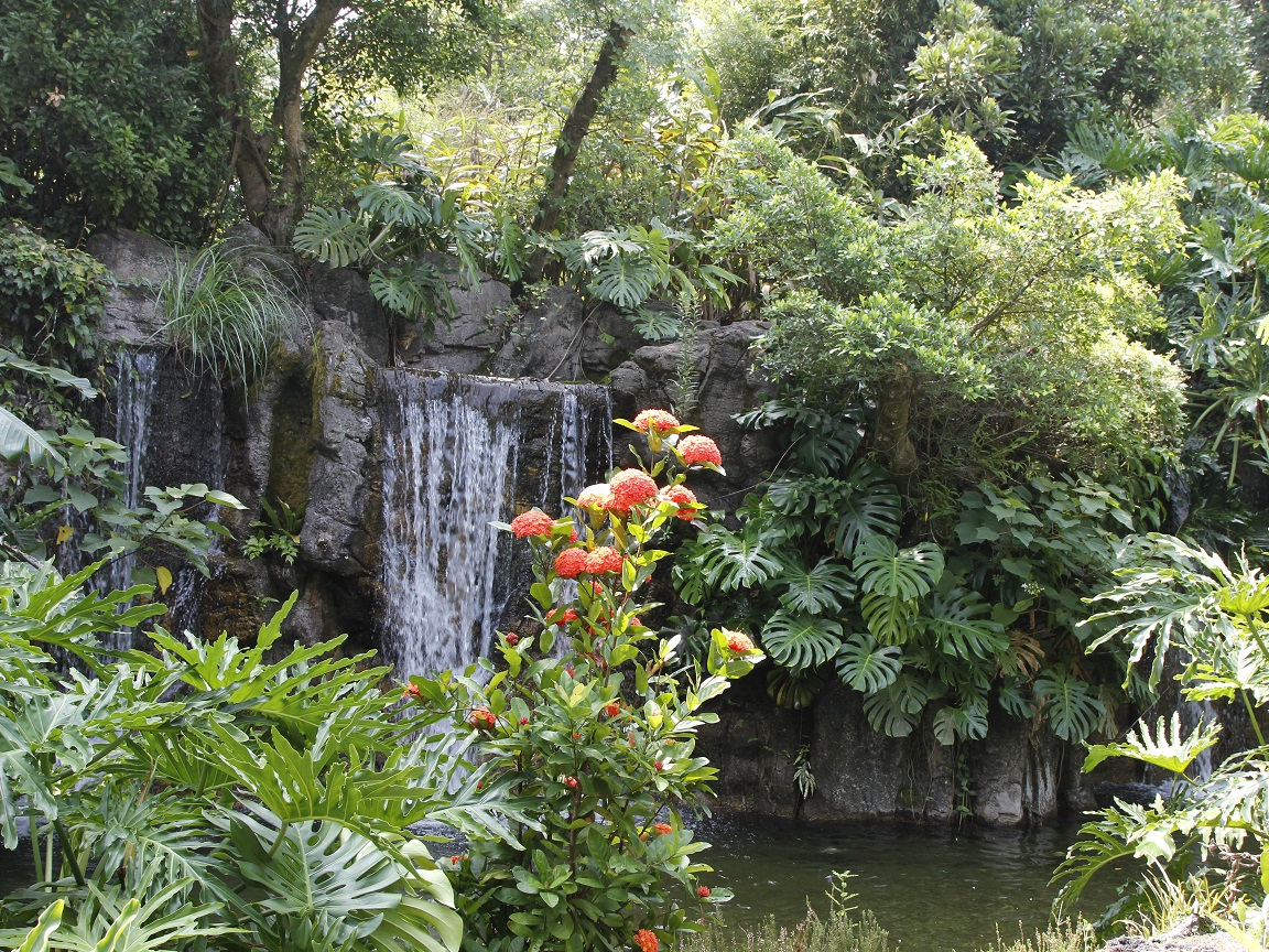 〇36.5haの広大な敷地に世界各地の亜熱帯植物を植栽した,国内屈指の花のテーマパーク
〇園内周遊バス、レンタルカートあり
〇じゃらんポイントを使ってお得に購入
〇乗用車525台・バス7台駐車無料