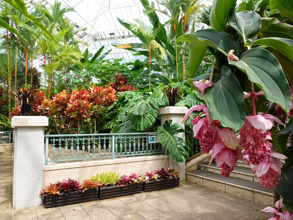 iEɌsN̉Ԃ̓tBsYfBj}OjtBJj