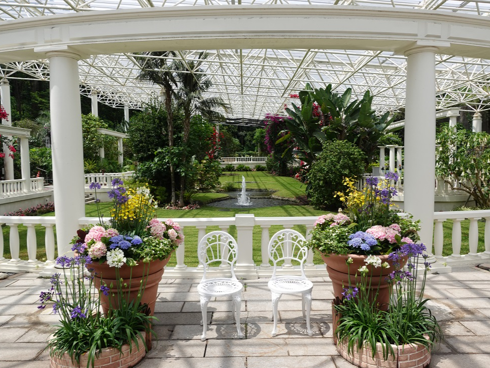 屋内庭園(5月頃)