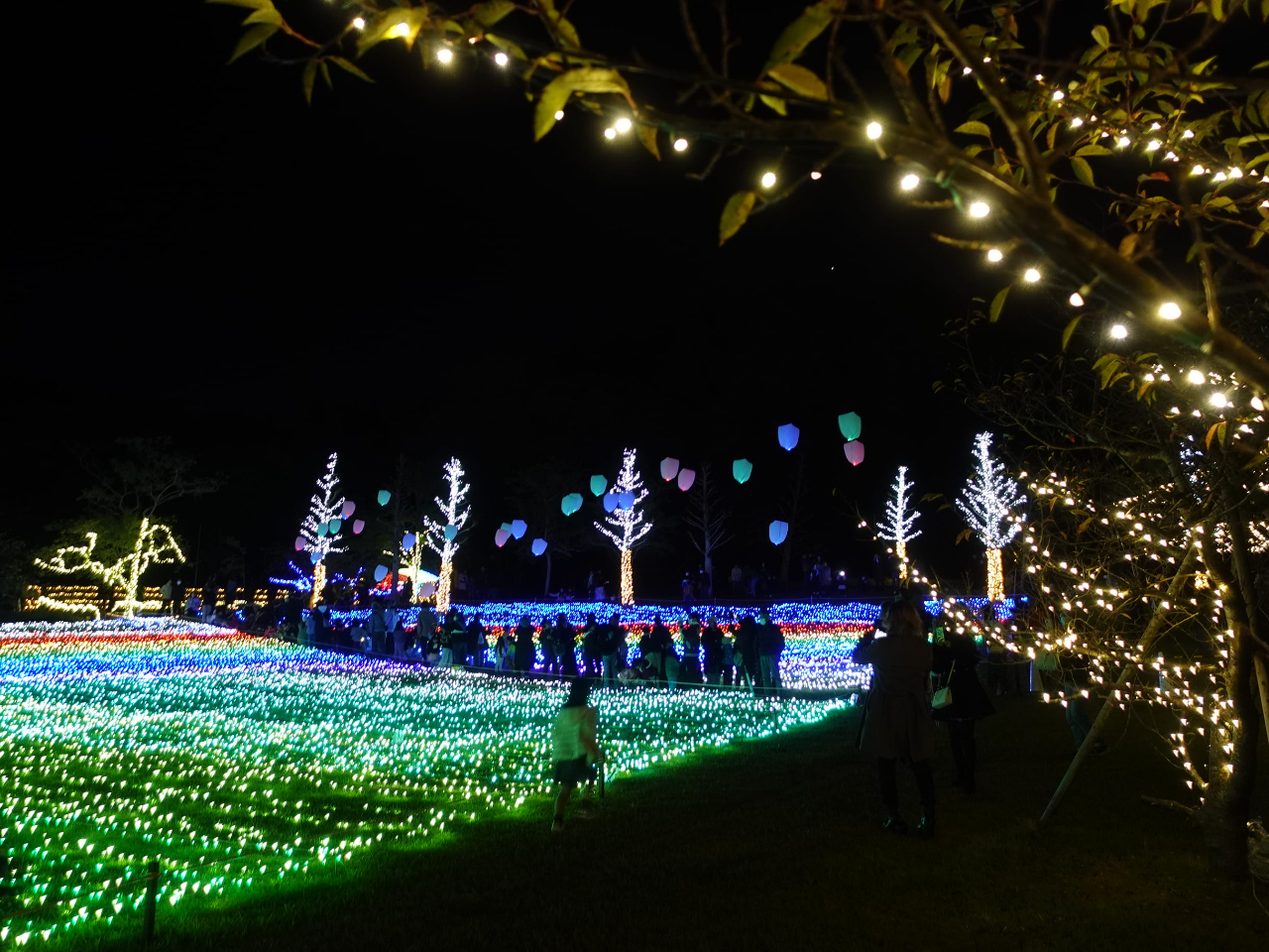 〇当園の冬の風物詩「イルミネーション」、今年は「煌めくKagoshima」をタイトルに光り輝く鹿児島を表現します。
〇36.5haの敷地に世界の亜熱帯植物を植栽した,国内屈指の花のテーマパーク