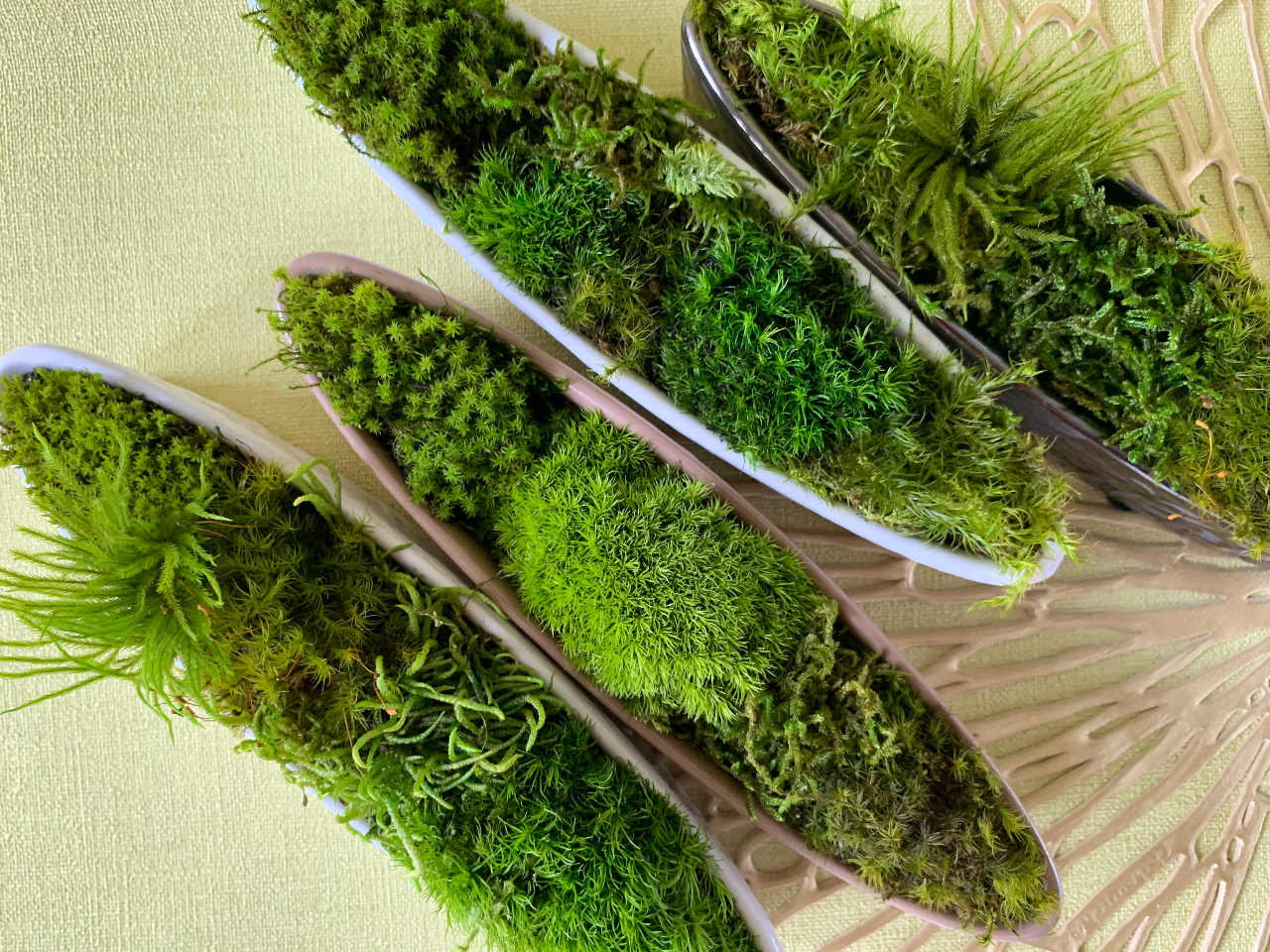 �ۂ̑g�ݍ��킹�ŐF�X�ȕ��i�����o�I